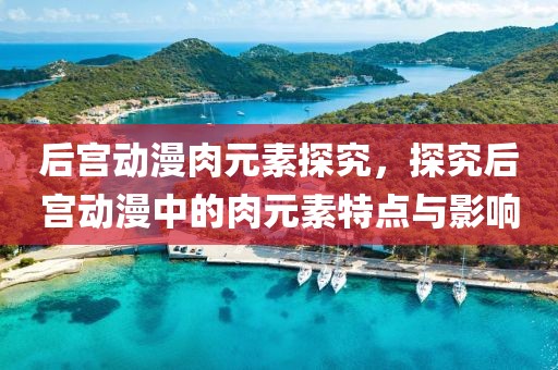 后宫动漫肉元素探究，探究后宫动漫中的肉元素特点与影响