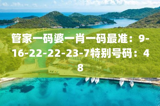 管家一码婆一肖一码最准：9-16-22-22-23-7特别号码：48