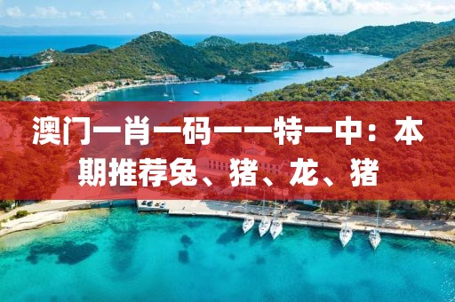 澳门一肖一码一一特一中：本期推荐兔、猪、龙、猪
