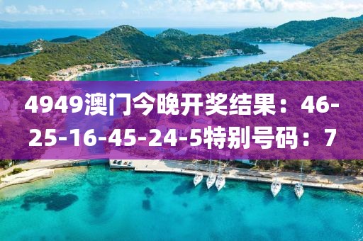 4949澳门今晚开奖结果：46-25-16-45-24-5特别号码：7