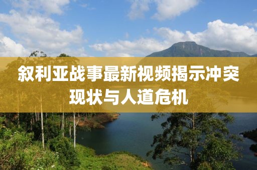 叙利亚战事最新视频揭示冲突现状与人道危机