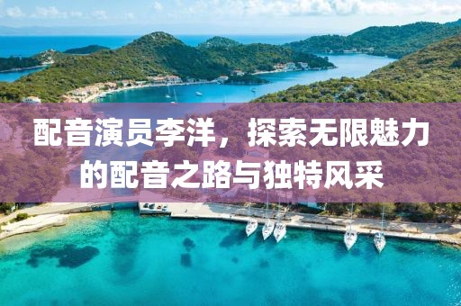 配音演员李洋，探索无限魅力的配音之路与独特风采
