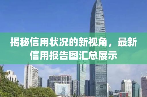 揭秘信用状况的新视角，最新信用报告图汇总展示