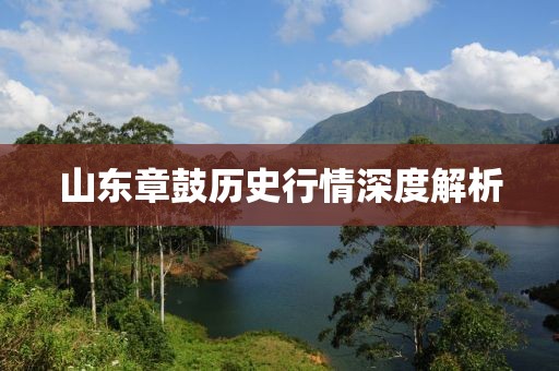 山东章鼓历史行情深度解析