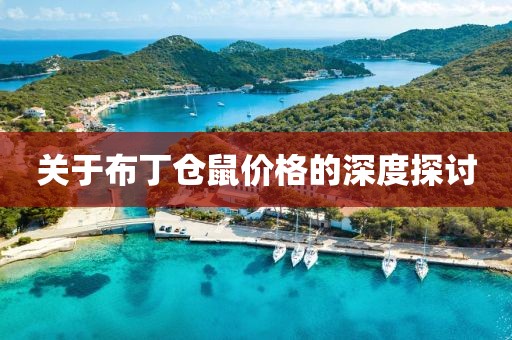 关于布丁仓鼠价格的深度探讨