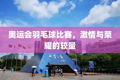 奥运会羽毛球比赛，激情与荣耀的较量