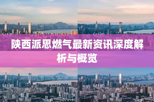 陕西派思燃气最新资讯深度解析与概览