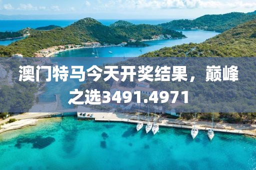 澳门特马今天开奖结果，巅峰之选3491.4971