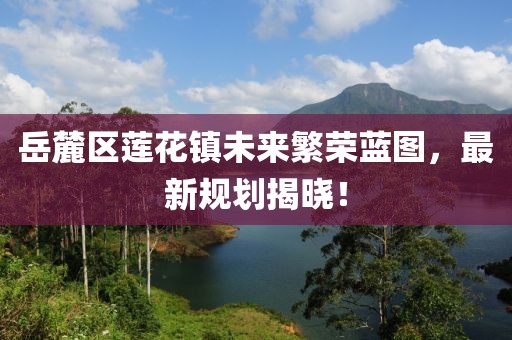 岳麓区莲花镇未来繁荣蓝图，最新规划揭晓！