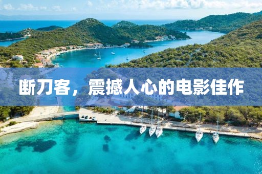 断刀客，震撼人心的电影佳作