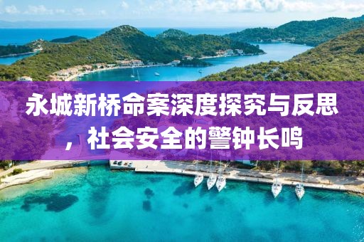 永城新桥命案深度探究与反思，社会安全的警钟长鸣