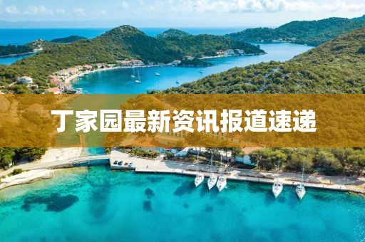 丁家园最新资讯报道速递