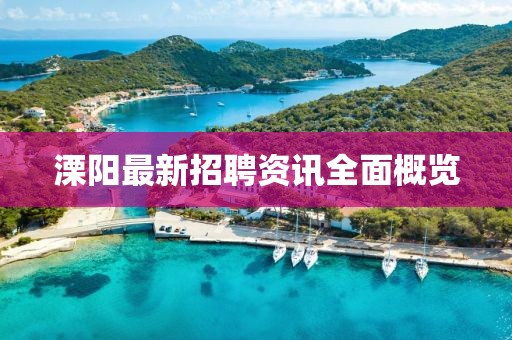 溧阳最新招聘资讯全面概览