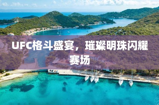 UFC格斗盛宴，璀璨明珠闪耀赛场