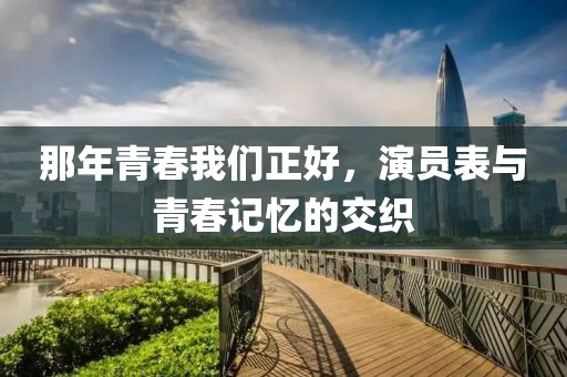 那年青春我们正好，演员表与青春记忆的交织