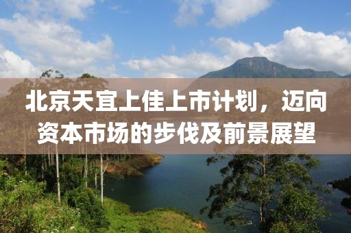 北京天宜上佳上市计划，迈向资本市场的步伐及前景展望
