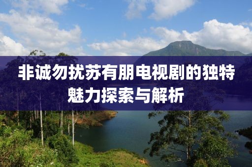 非诚勿扰苏有朋电视剧的独特魅力探索与解析