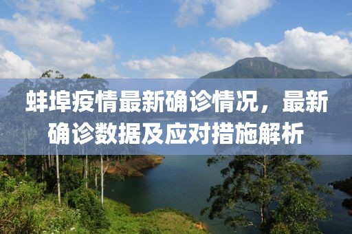 蚌埠疫情最新确诊情况，最新确诊数据及应对措施解析