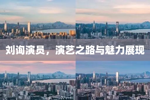 刘询演员，演艺之路与魅力展现