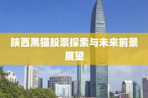 陕西黑猫股票探索与未来前景展望