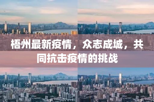 梧州最新疫情，众志成城，共同抗击疫情的挑战
