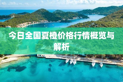 今日全国夏橙价格行情概览与解析