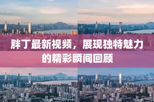 胖丁最新视频，展现独特魅力的精彩瞬间回顾