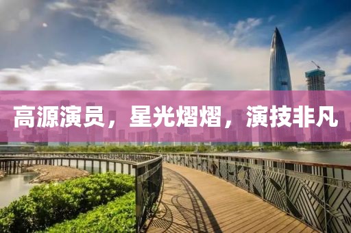 高源演员，星光熠熠，演技非凡