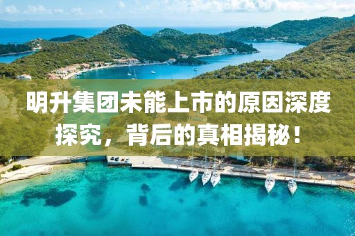明升集团未能上市的原因深度探究，背后的真相揭秘！
