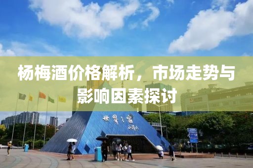 杨梅酒价格解析，市场走势与影响因素探讨