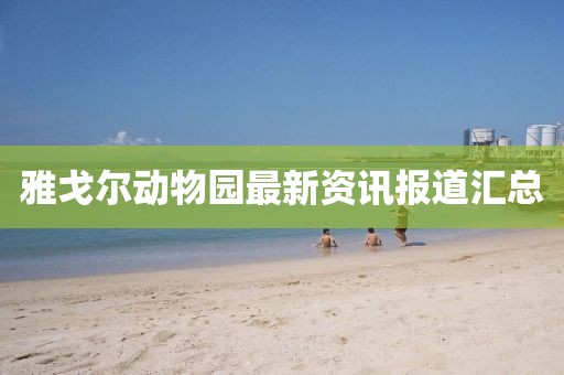 雅戈尔动物园最新资讯报道汇总