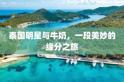 泰国明星与牛奶，一段美妙的缘分之旅