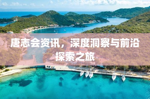 唐志会资讯，深度洞察与前沿探索之旅