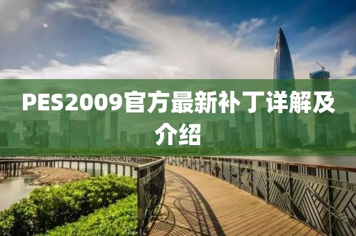 PES2009官方最新补丁详解及介绍
