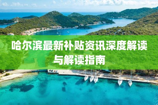 哈尔滨最新补贴资讯深度解读与解读指南