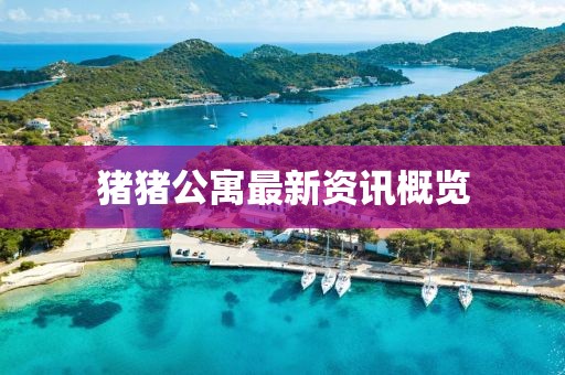 猪猪公寓最新资讯概览