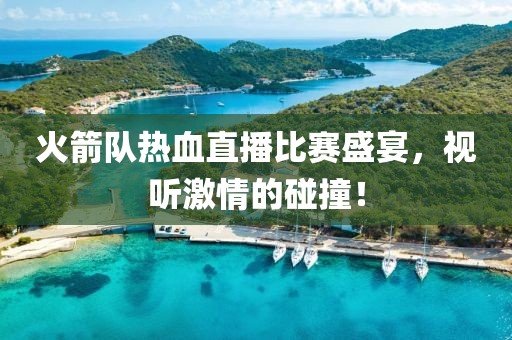 火箭队热血直播比赛盛宴，视听激情的碰撞！