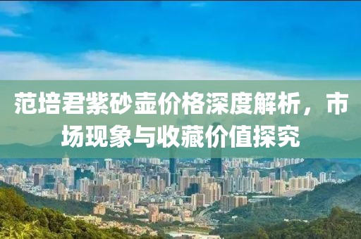 范培君紫砂壶价格深度解析，市场现象与收藏价值探究