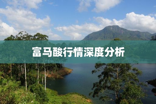 富马酸行情深度分析