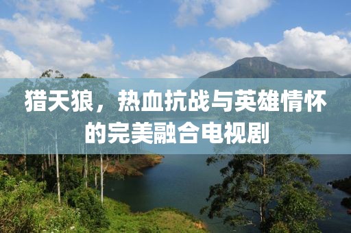 猎天狼，热血抗战与英雄情怀的完美融合电视剧