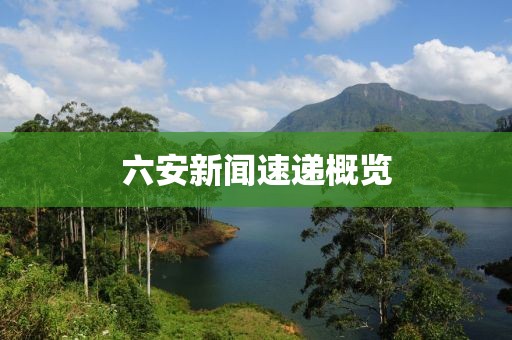 六安新闻速递概览