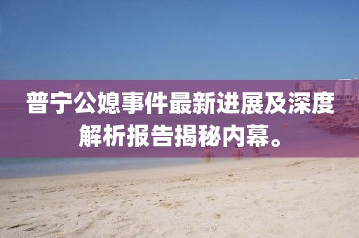 普宁公媳事件最新进展及深度解析报告揭秘内幕。