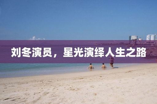 刘冬演员，星光演绎人生之路