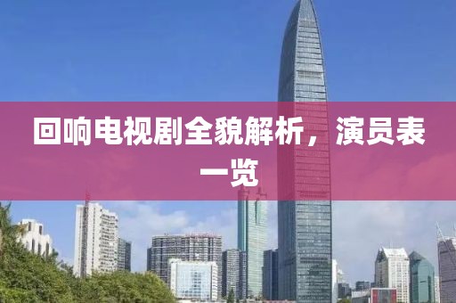 回响电视剧全貌解析，演员表一览