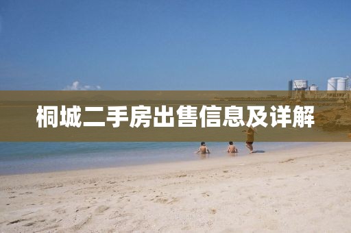桐城二手房出售信息及详解