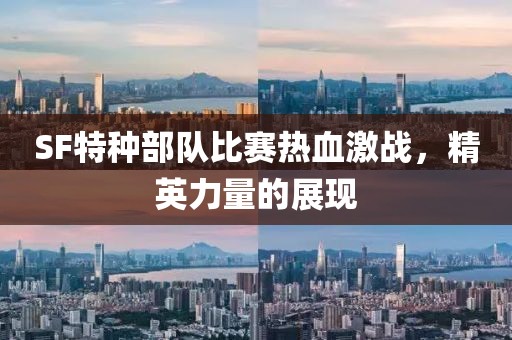 SF特种部队比赛热血激战，精英力量的展现