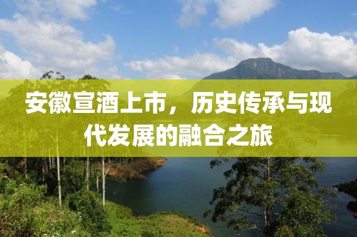 安徽宣酒上市，历史传承与现代发展的融合之旅