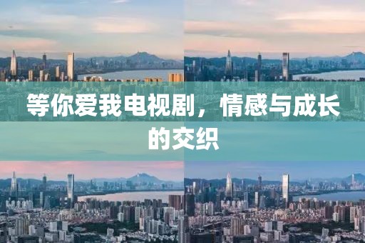 等你爱我电视剧，情感与成长的交织