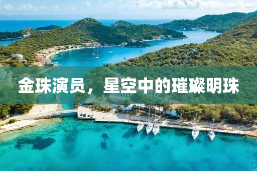 金珠演员，星空中的璀璨明珠