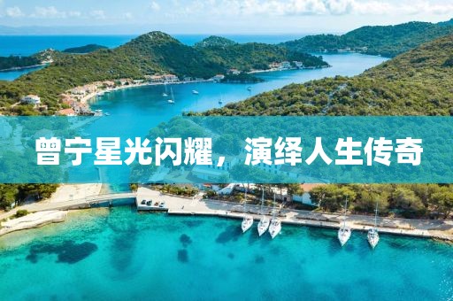 曾宁星光闪耀，演绎人生传奇